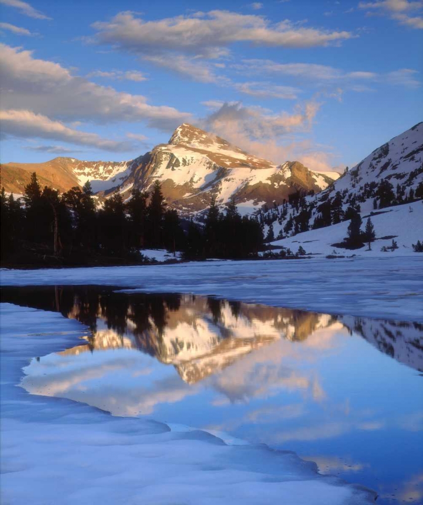 Art Print: CA, Sierra Nevada Dana Peak above a frozen lake