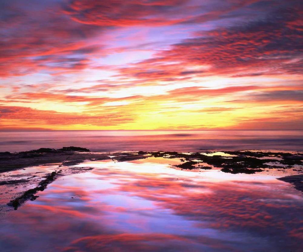 Art Print: CA, Tide pools at sunset at Sunset Cliffs