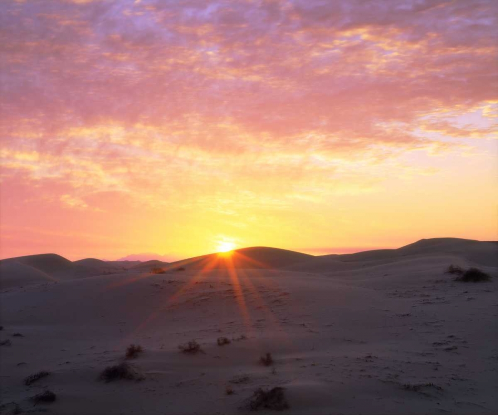 Art Print: USA, California, Glamis Sand Dunes at Sunrise