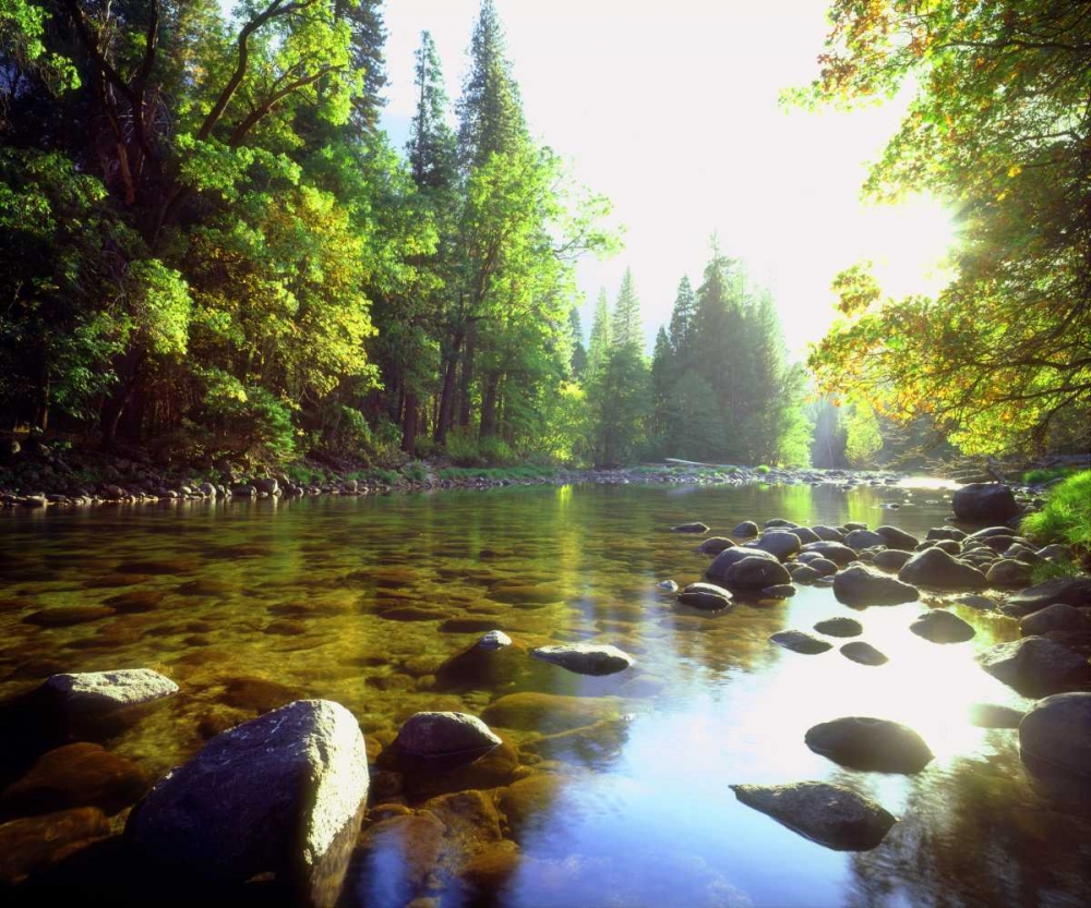 Art Print: USA, California, Yosemite NP The Merced River