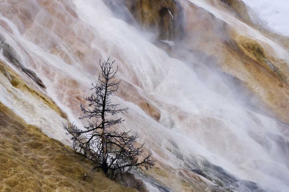 Art Print: Wyoming Mammoth Hot Springs waterfall
