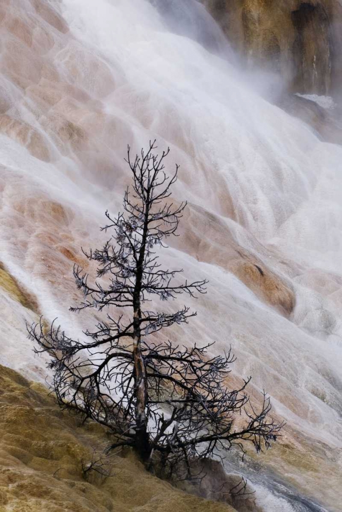 Art Print: Wyoming Mammoth Hot Springs waterfall