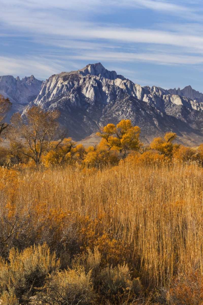 Art Print: California Lone Pine Peak from Alabama Hills