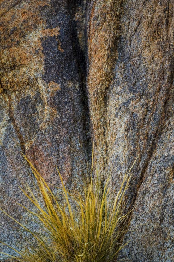 Art Print: California, Alabama Hills Rock face and grass