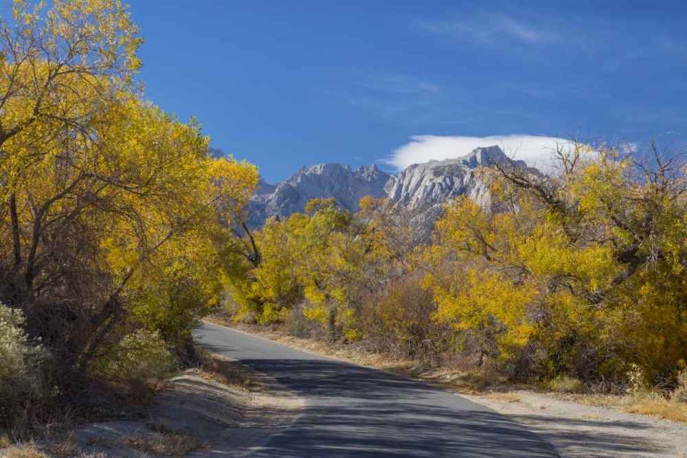 Art Print: California, Alabama Hills Tuttle Creek Road