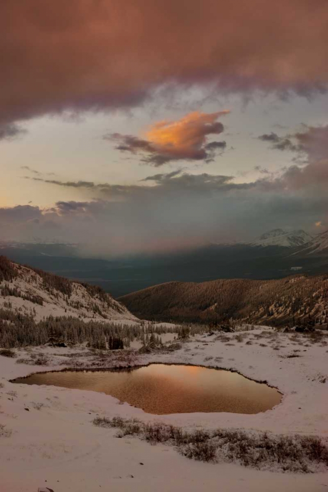 Art Print: CO, Cottonwood Pass Sunset on alpine tarn