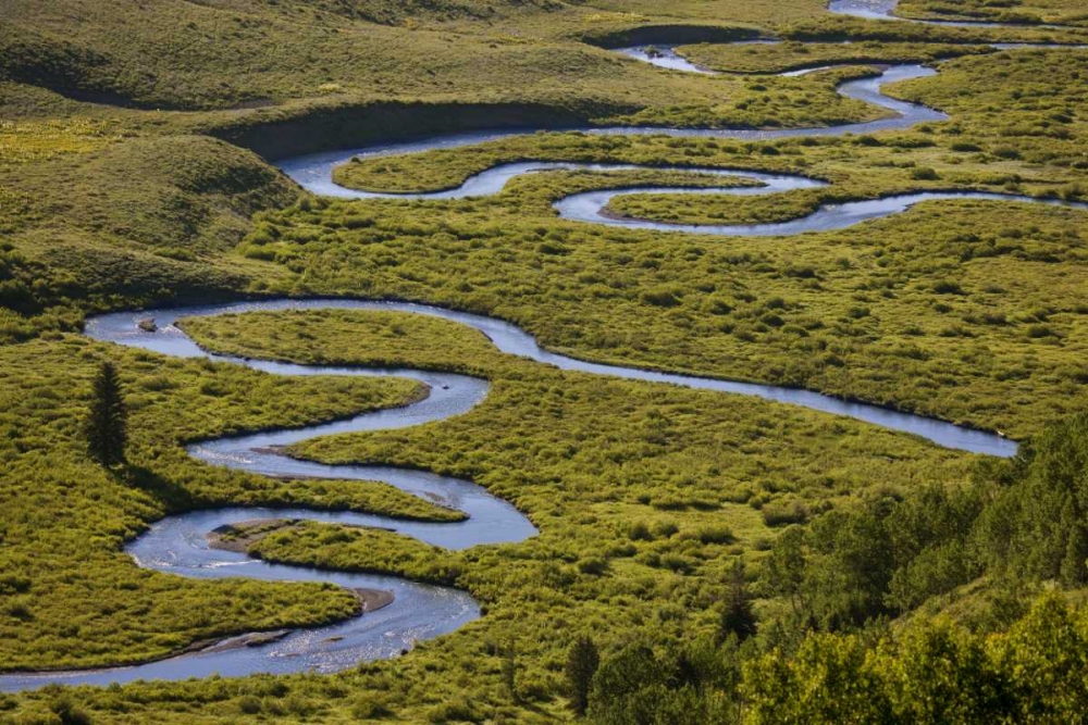 Art Print: CO, Gunnison NF Uper East Rivers meandering