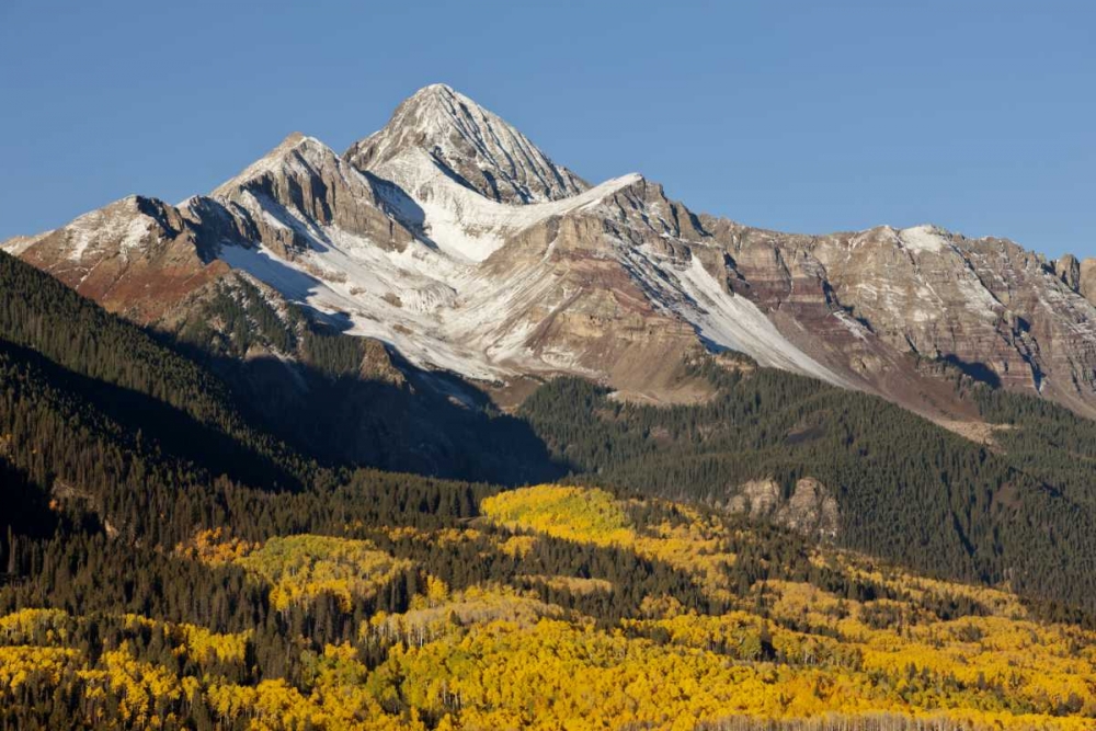Art Print: Colorado, San Juan Mts Wilson Peak in autumn