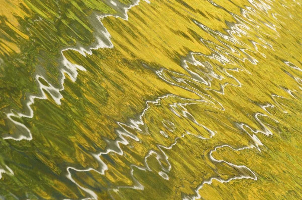 Art Print: Colorado, San Juan Mts Reflection in Woods Lake