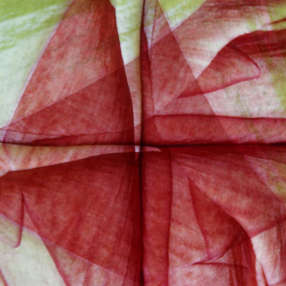 Art Print: USA, Colorado, Lafayette Amaryllis montage