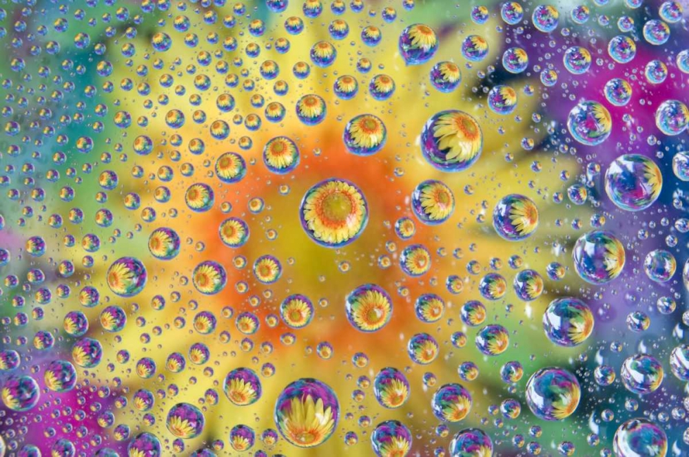 Art Print: Colorado, Lafayette Abstract Water bubbles