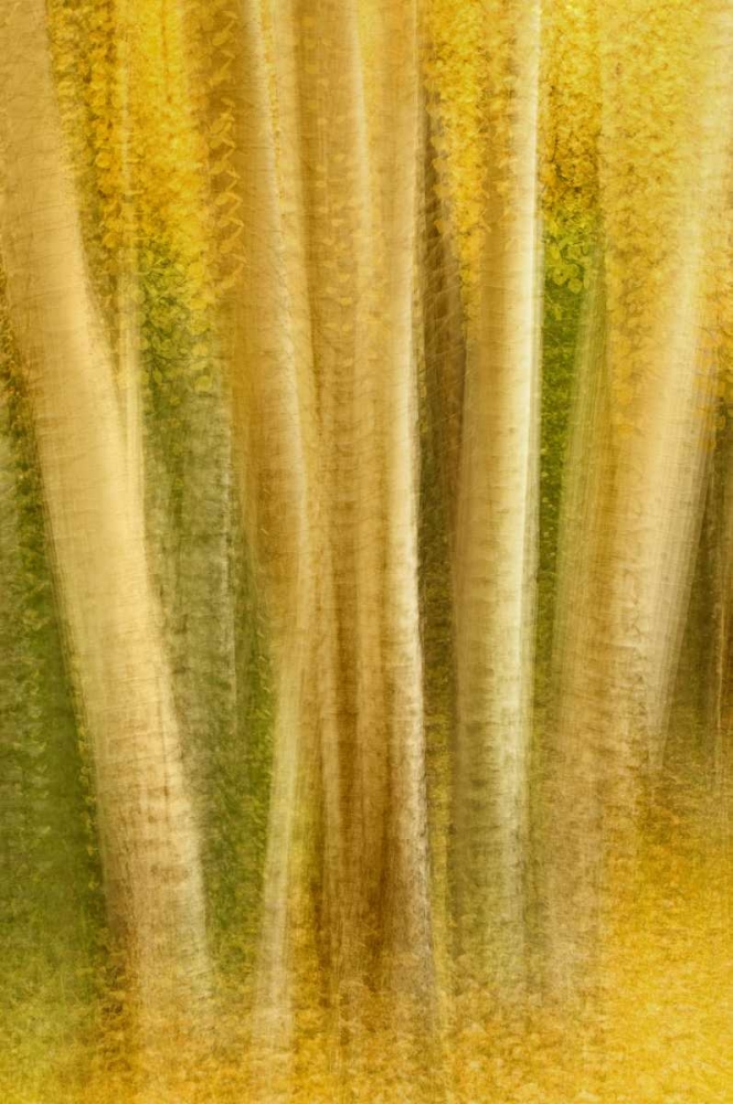 Similar wall art painting: 127076