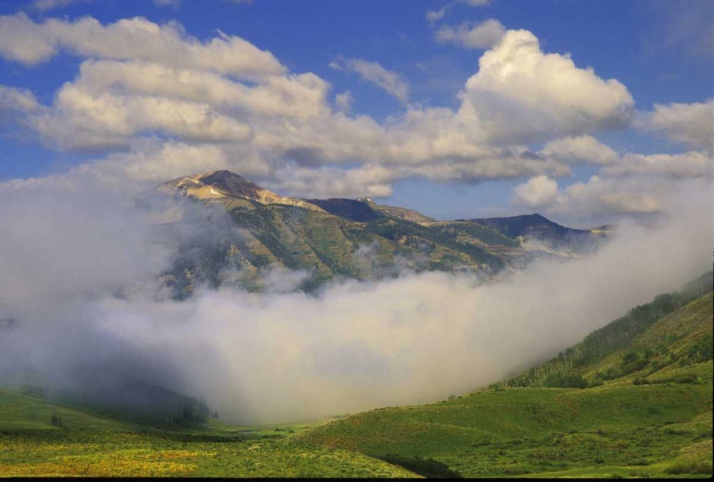 Art Print: Colorado, Fog and mountain landscape