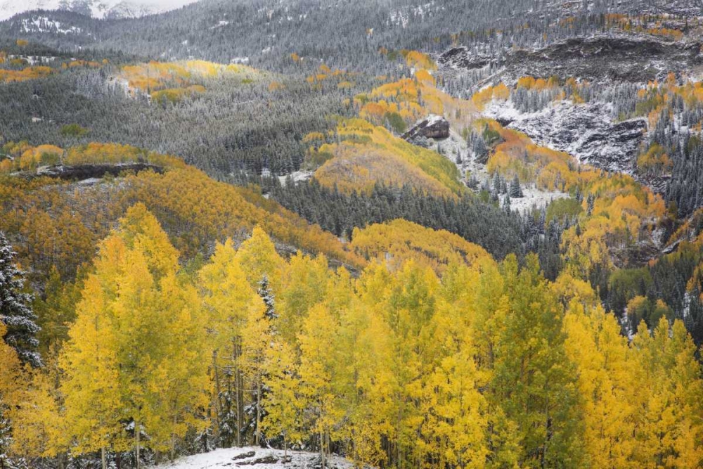 Art Print: Colorado, San Juan Mountains Autumn snowfall