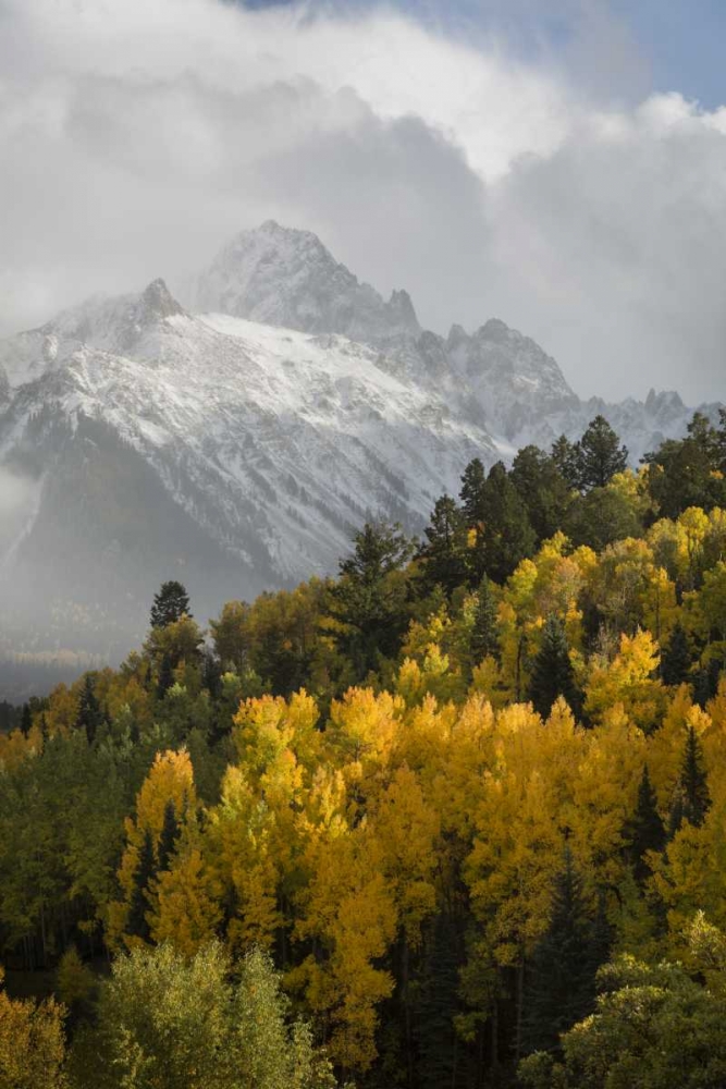 Art Print: Colorado, Sneffels Range Mt Sneffels at sunset