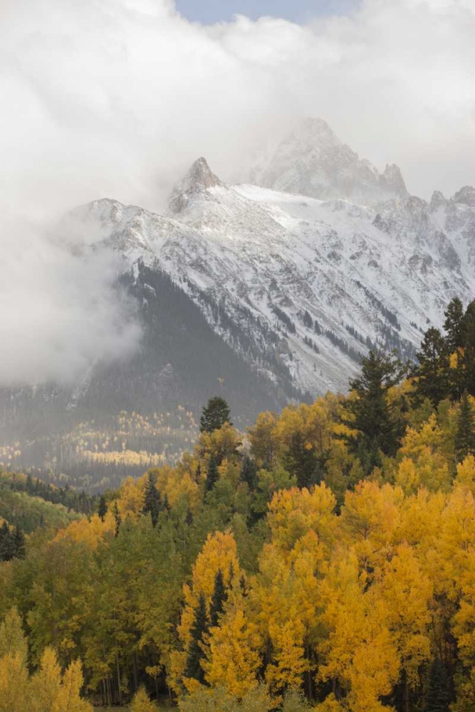 Art Print: Colorado, Sneffels Range Mt Sneffels at sunset