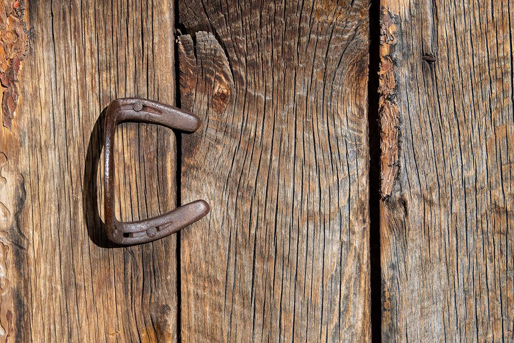 Art Print: USA-Colorado-Westcliffe Old wooden barn wall with bent horseshoe handle