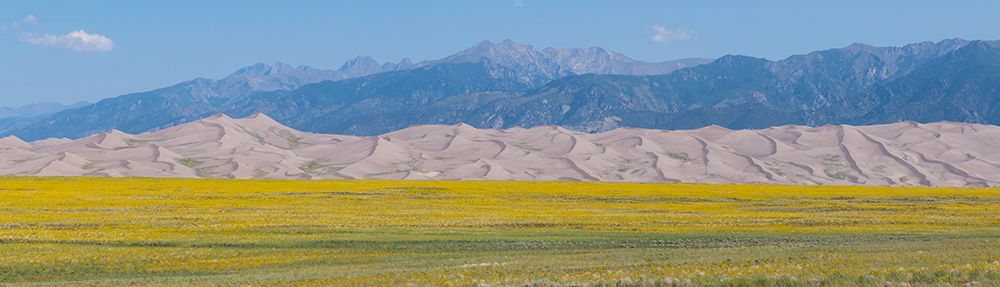 Art Print: USA-Colorado-San Luis Valley-Great Sand Dunes National Park