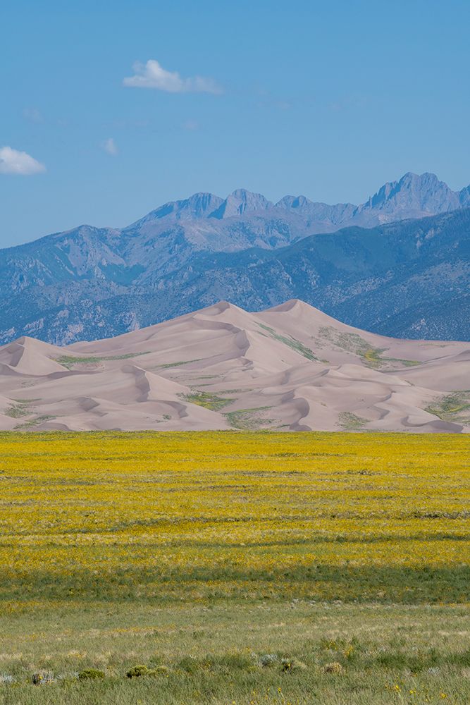 Art Print: USA-Colorado-San Luis Valley-Great Sand Dunes National Park
