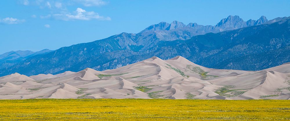 Art Print: USA-Colorado-San Luis Valley-Great Sand Dunes National Park