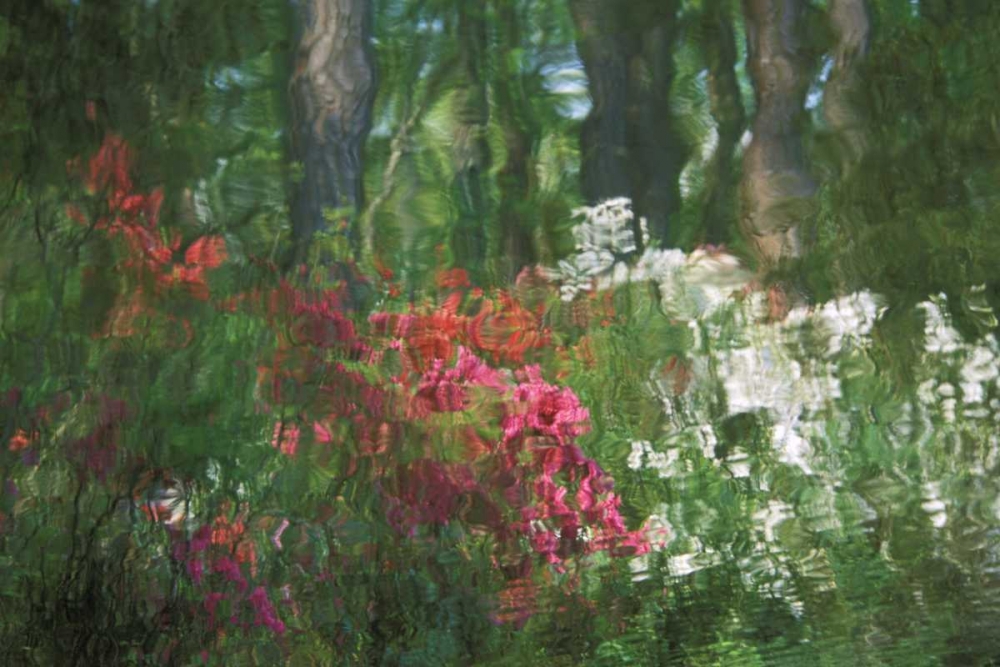 Art Print: USA, Georgia, Azalea reflection in pond
