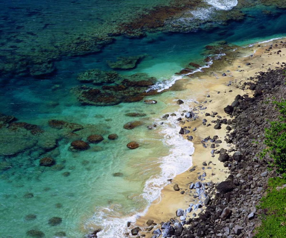 Art Print: Hawaii, Kauai A coral reef on the Na Pali coast