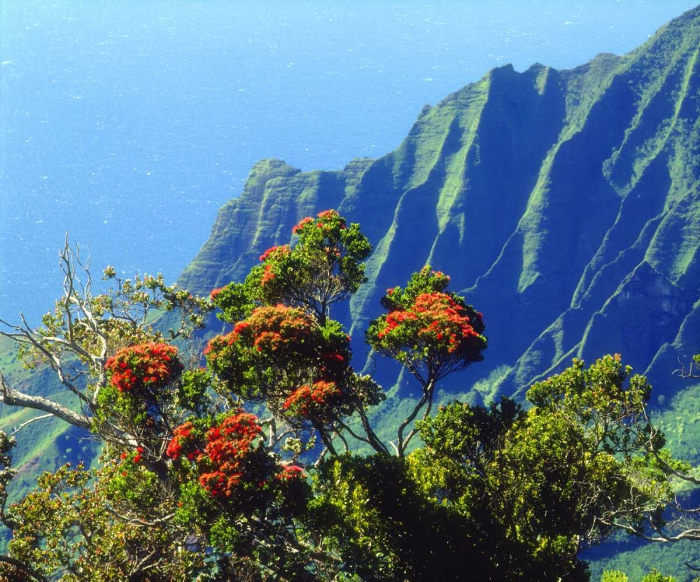 Art Print: HI, Kauai Flowering tree above the Na Pali Coast