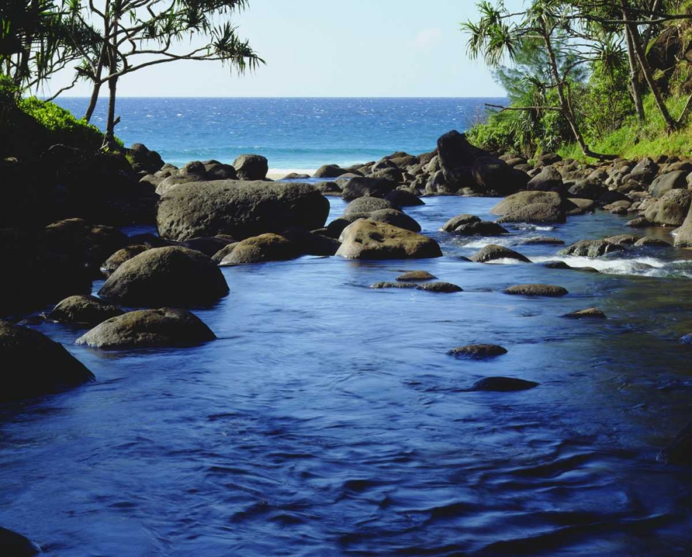 Art Print: HI, Kauai Stream on the Na Pali coast