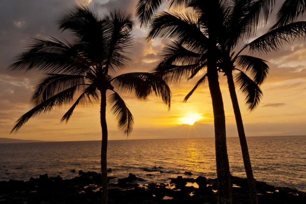 Art Print: USA, Hawaii, Maui, Kihei Palm tree sunset