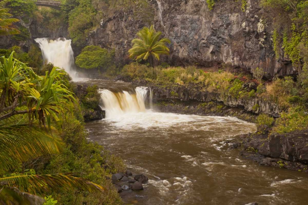 Wall art: HI, Maui, Haleakala NP Seven Sacred Pools, by Illg, Cathy and Gordon