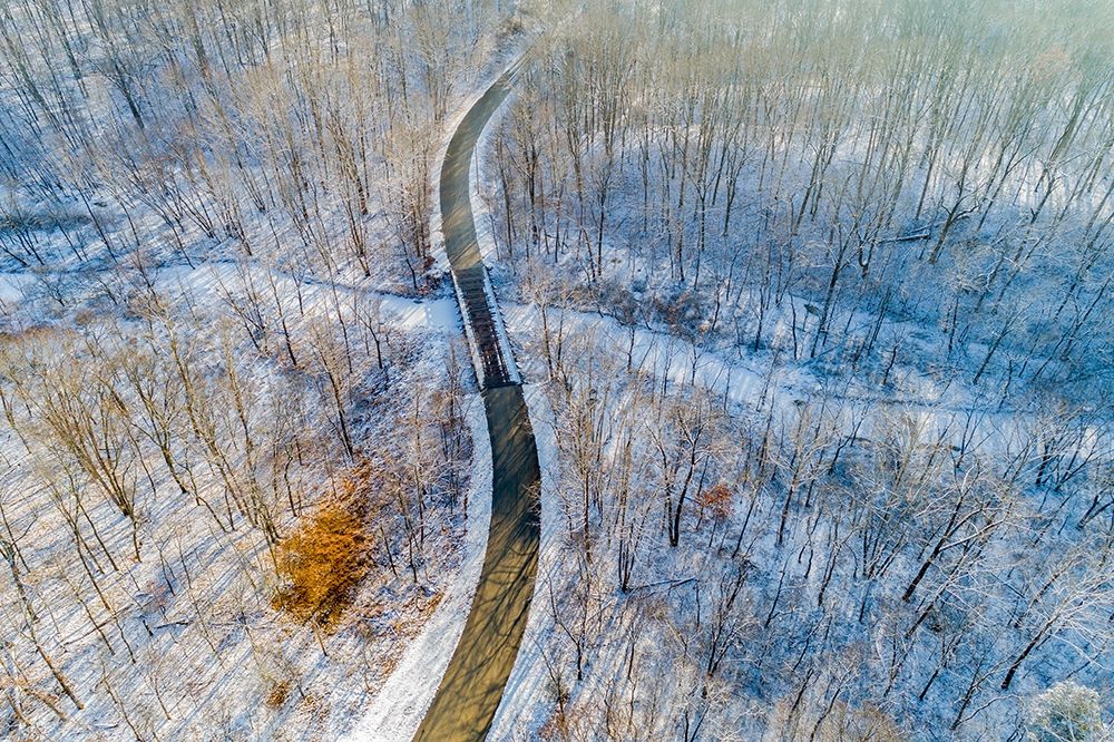 Art Print: Aerial view of forest and road after snowfall in winter Stephen A Forbes State Recreation Area
