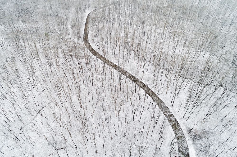 Art Print: Aerial view of a fresh snow over the forest and road-Marion County-Illinois