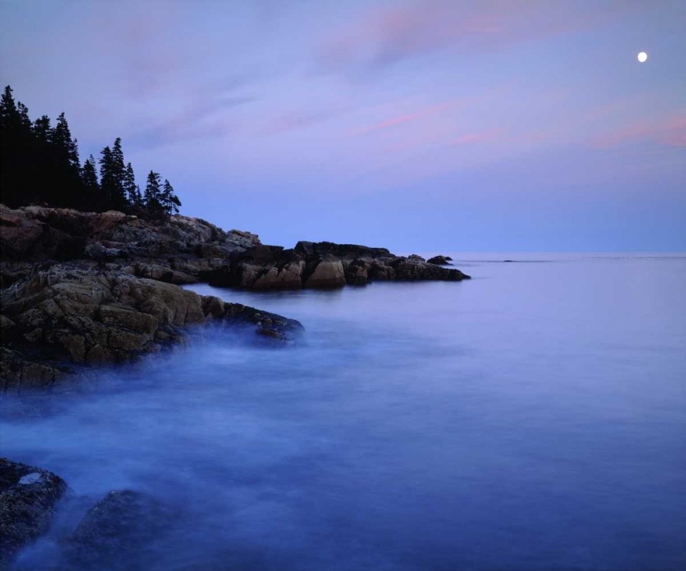 Wall art: USA, Maine Acadia NP Moonrise over the Atlantic, by Talbot Frank, Christopher