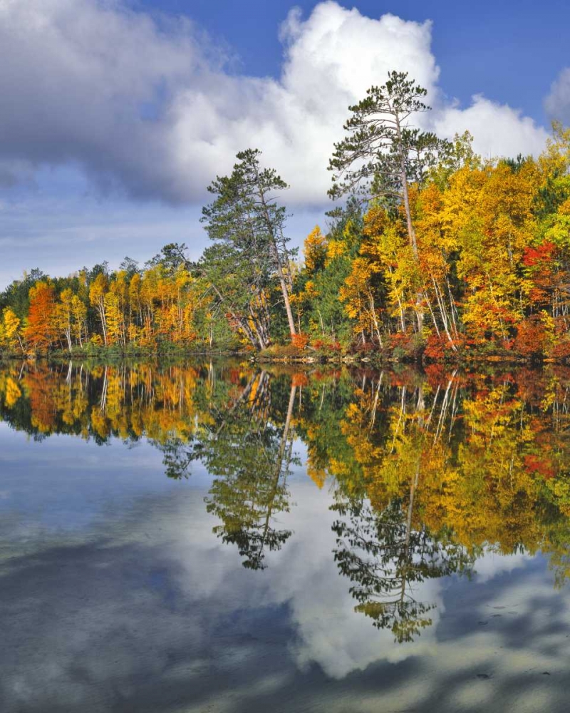 Art Print: USA, Maine Autumn scenic of Upper Togue Pond