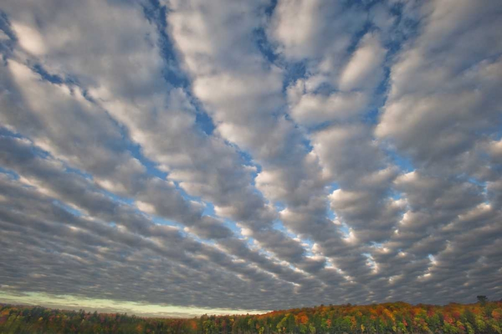 Art Print: Michigan Clouds over Petes Lake in autumn