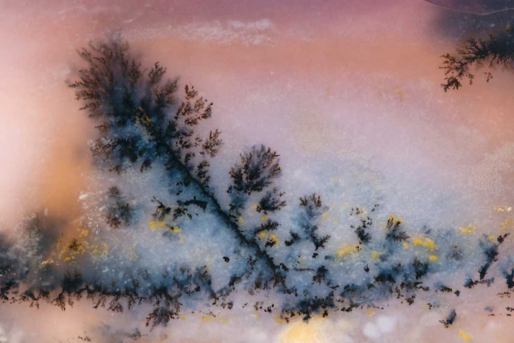 Art Print: USA, Nevada Close-up of amethyst sage agate