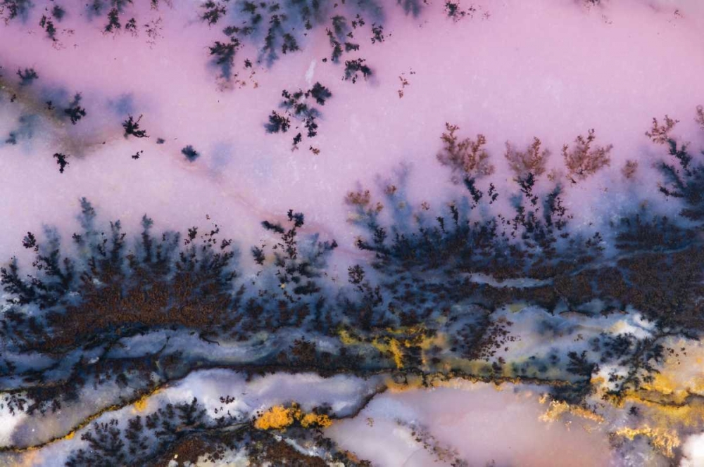Art Print: USA, Nevada Close-up of amethyst sage agate