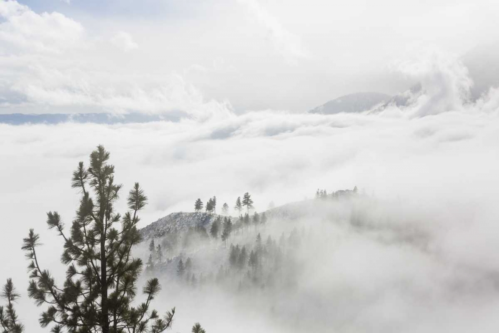 Similar wall art painting: 131750