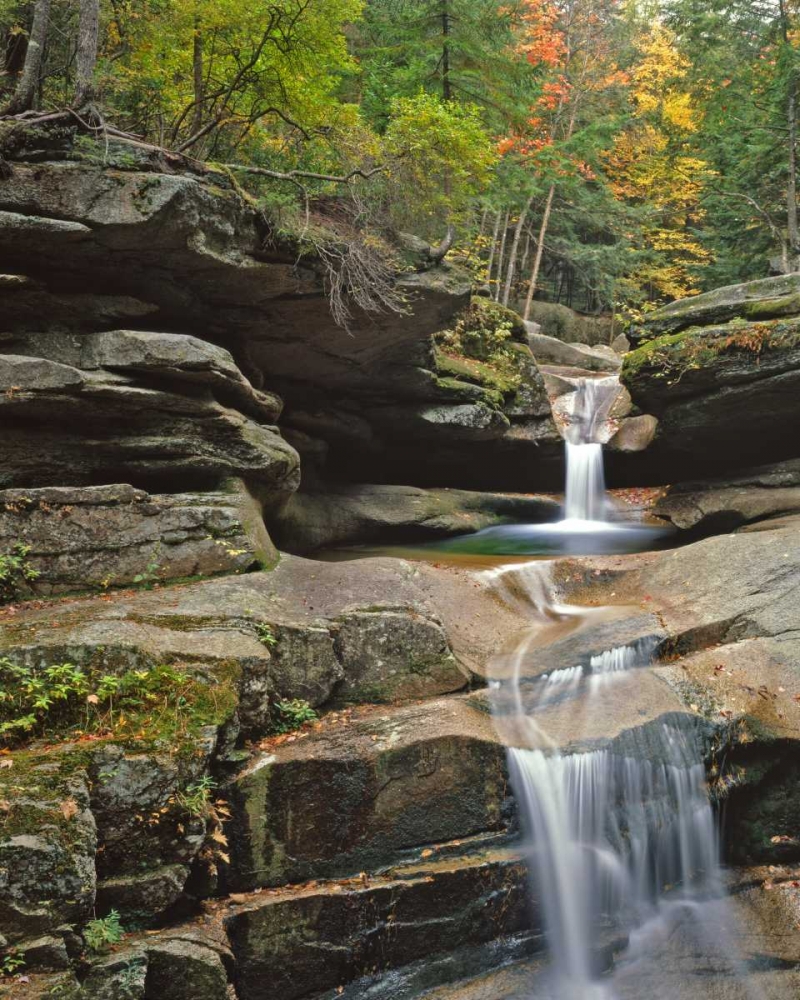 Art Print: New Hampshire, White Mountains NF Sabbady Falls