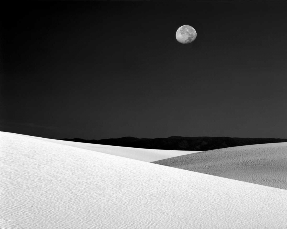 Wall Art Painting id:136798, Name: New Mexico, White Sands NM Night with full moon, Artist: Zuckerman, Jim