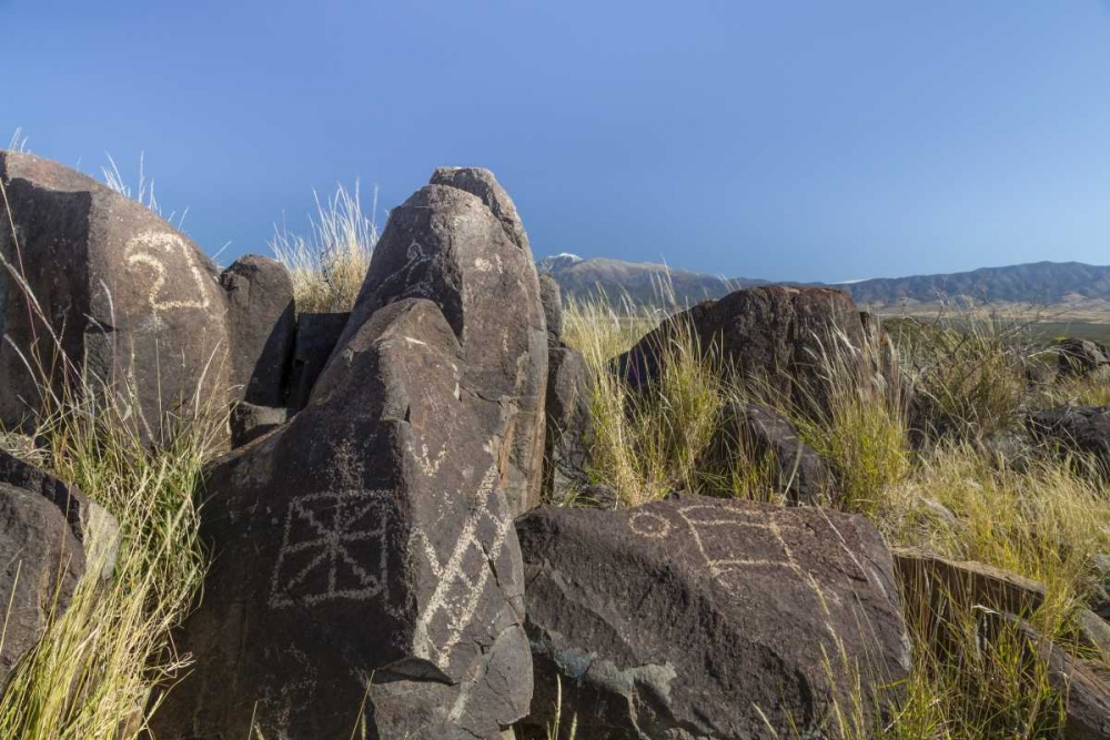 Art Print: New Mexico, Three Rivers Petroglyph etchings