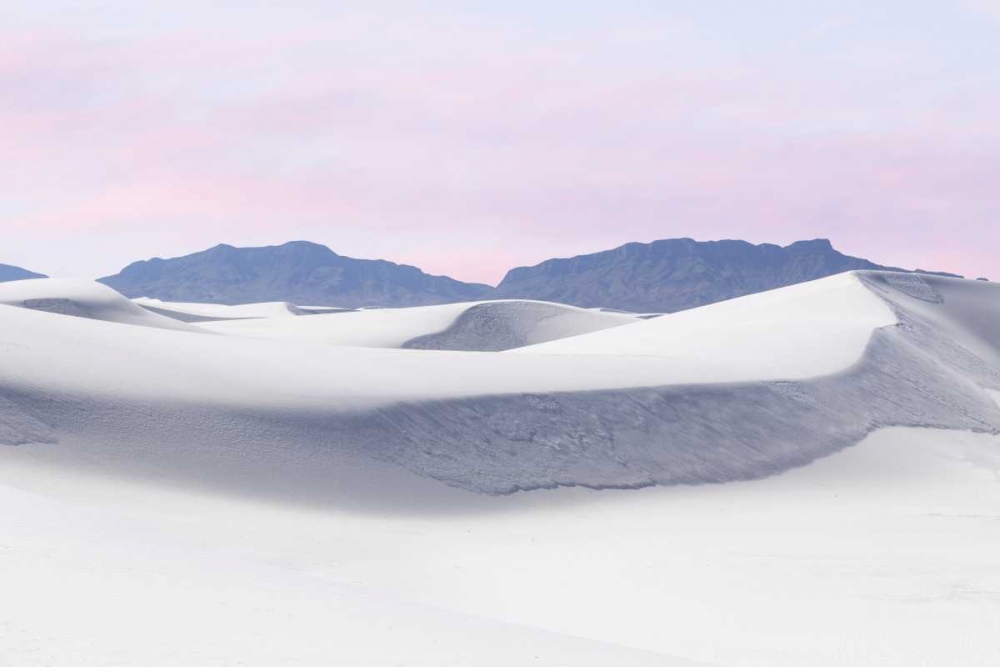 Art Print: New Mexico, White Sands NM Desert landscape