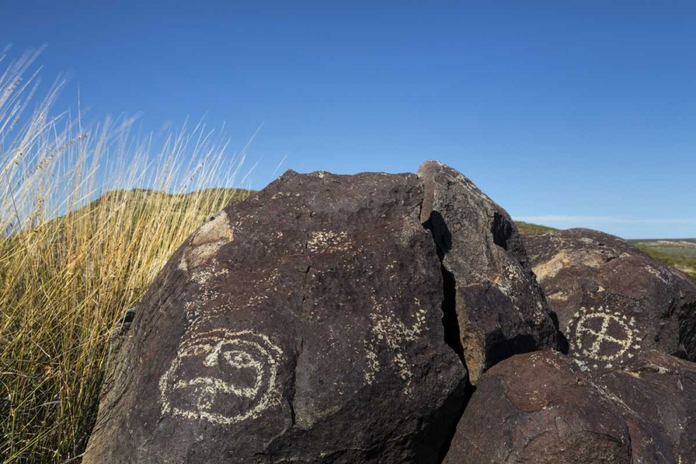 Art Print: New Mexico, Three Rivers Petroglyph etchings