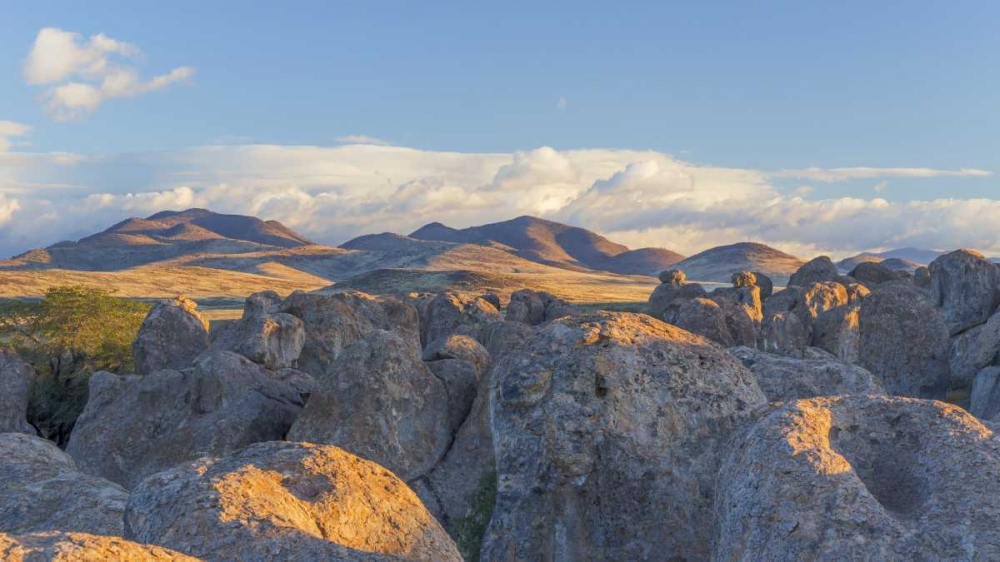 Art Print: New Mexico, City of Rocks Landscape of boulders