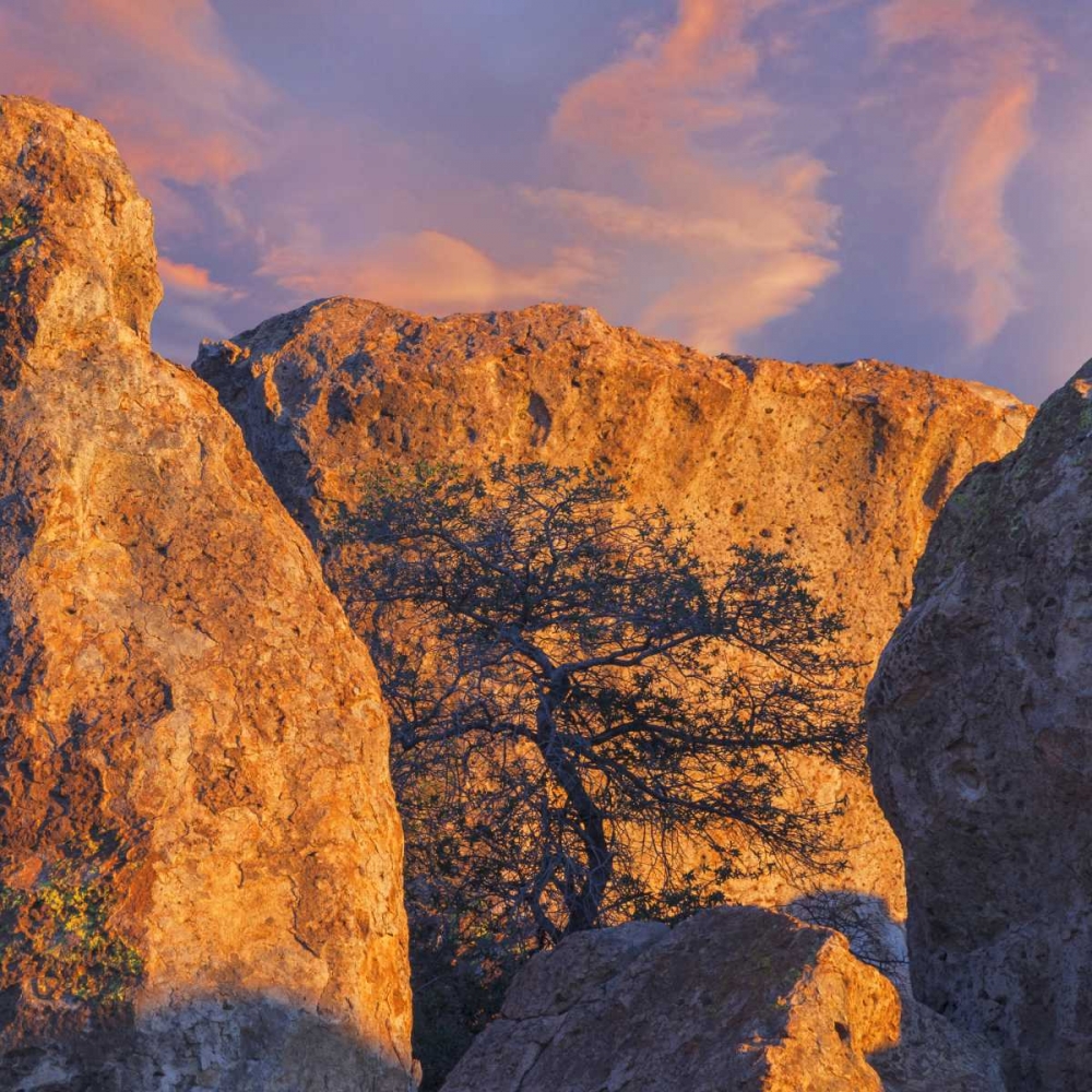Art Print: New Mexico, City of Rocks SP Sunset on boulders