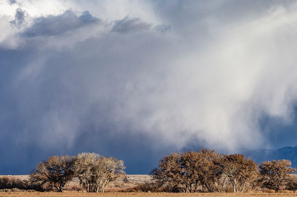 Art Print: Winter storms in the Manzano mountains-New Mexico