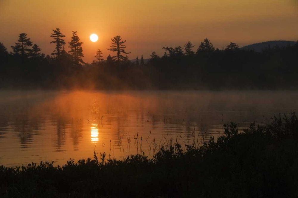 Wall art: NY, Adirondack Mts Sunrise over Raquette Lake, by Rotenberg, Nancy