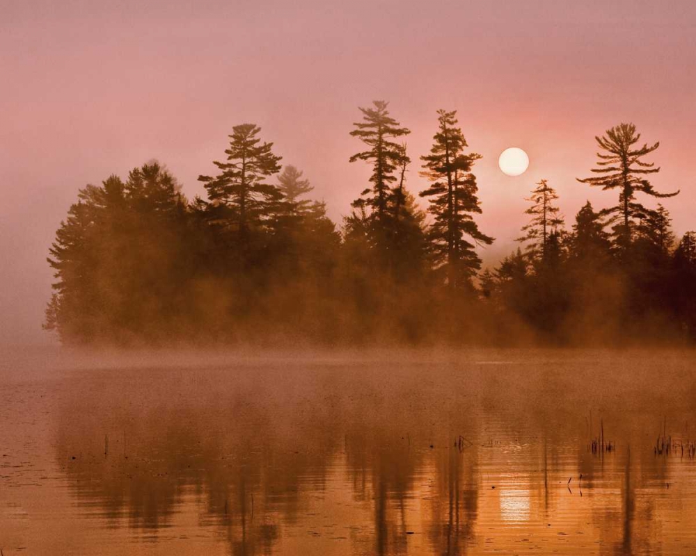 Art Print: USA, New York, Adirondack Park Sunrise on a lake