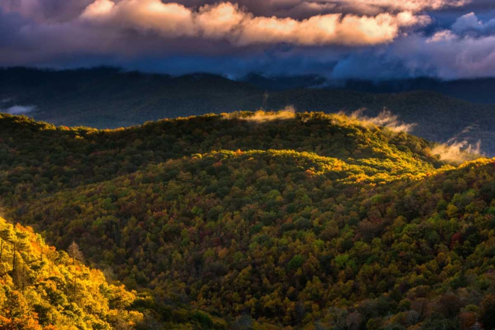 Art Print: NC, Brevard Autumn landscape in Pisgah NF