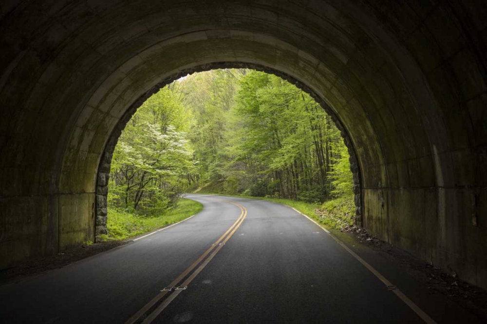 Art Print: North Carolina Tunnel on the Blue Ridge Parkway